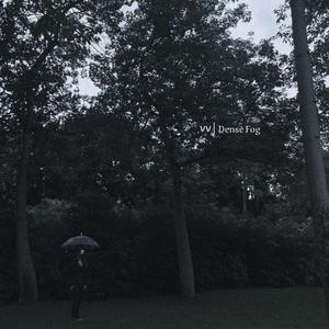 雾中行 (Dense Fog)