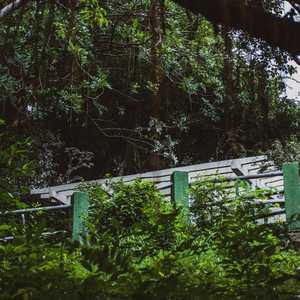 森林冥想 (铃铛曲)