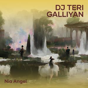 Dj Teri Galliyan (Remix)