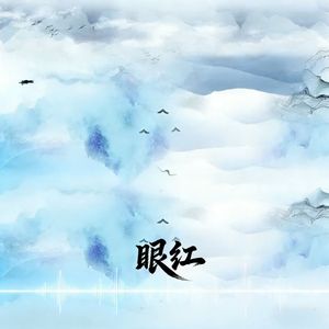 眼红（高燃DJ版）