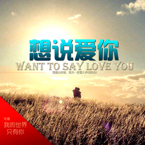 想说爱你（摇滚版）