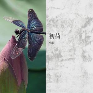 古代-良宵引(Remix)