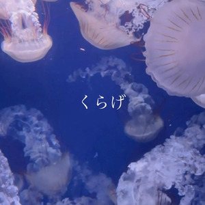 くらげ