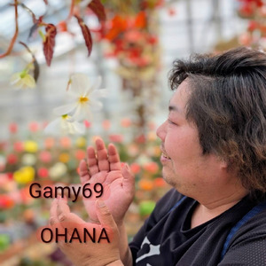 OHANA (Remix)