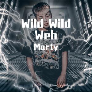 John The Whistler-Wild Wild Web（John The Whistler remix）