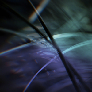 Dispelling