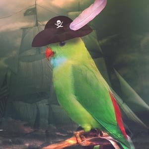 These Lyrics Are Generated