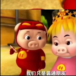 2_11月23日 斑马斑马