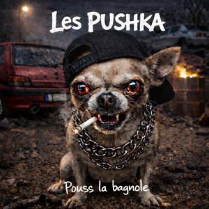 Pouss la bagnole