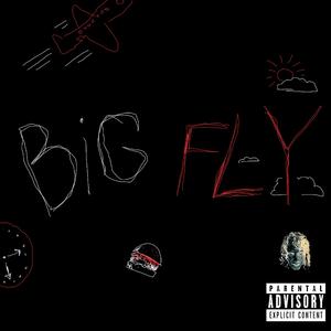 Big Fly (Extrait De L'album IMMERSION)