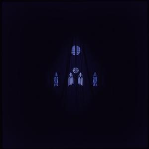 The Black Veil