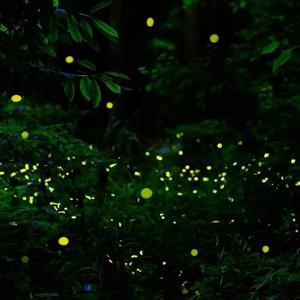 那个男人（翻自The one)