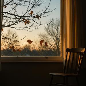 빈 가지에 머무는 노래