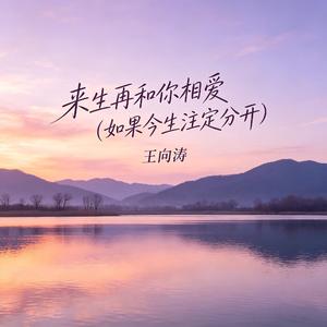 来生再和你相爱(如果今生注定分开)