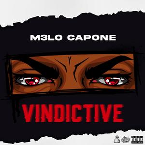 Vindictive