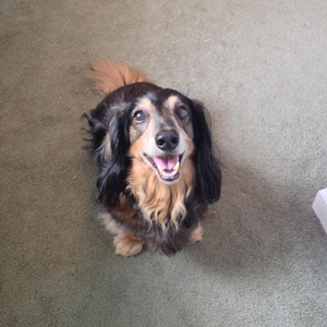 Moonbeamer (Impromptu Nocturne) [Aka Sea of Tranquility]