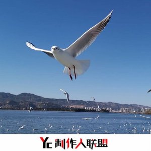 混搭口水上头旋律