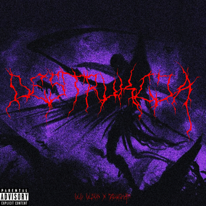 CO OBCHODZĄ SŁOWA LUDZI, KTÓRYCH NIGDY NIE ZOBACZĘ