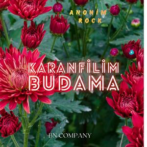 Karanfilim Budama