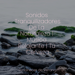 Tonos Bañados de Sol