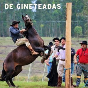 De Gineteadas