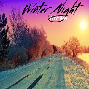 Winter Night