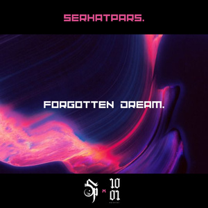 FORGOTTEN DREAM.