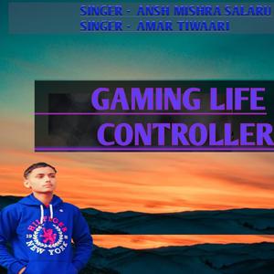 Gaming life controller (1)