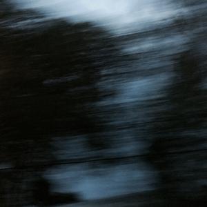 蝉 (prod.新约克)