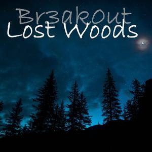 Lost Woods