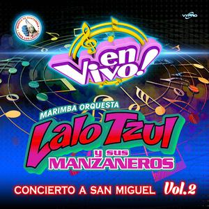 Las Pegaditas de Lalo # 3: Haydee / Adiós Mi Amor / Que Te Ha Dado Esa Mujer