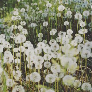 Nessun posto è segreto nel buio