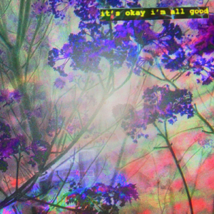 it's okay i'm all good