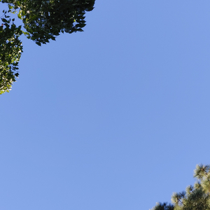 The boy Lost in Haze