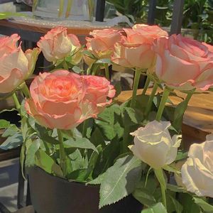 父亲写的散文诗(时光版)