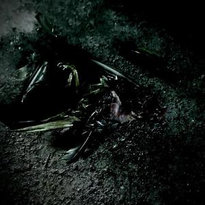 Sariling Pagbabago (Studio Version)