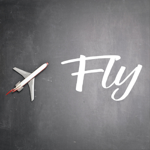 Fly (feat. Salone)