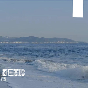 海在悲鸣...