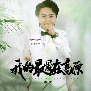 我的最爱在高原 (广场舞)