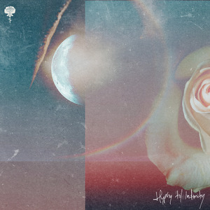 Spelled Polaroid Wrong