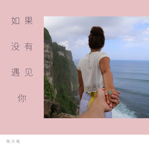 如果我没有遇见你