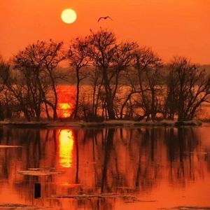 刘若英-后来（我就是爱音乐 remix）