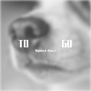 To Go(Prod.Rextro)