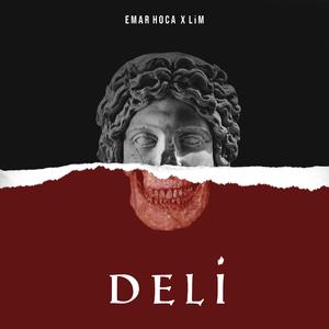 DELI (feat. LiM)