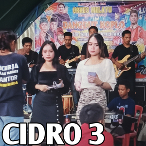 CiDRO 3