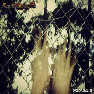 Distorsiones