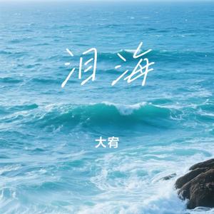 泪海