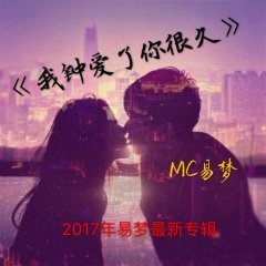 我瞒着所有人爱了你很久很久