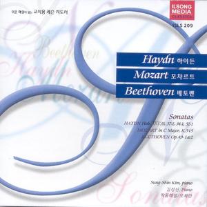 [HAYDN]Sonata in D Major, Hob.ⅩⅥ:37 - 1.Allegro con brio