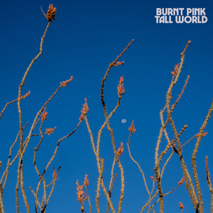 Face Plant part 1 & 2